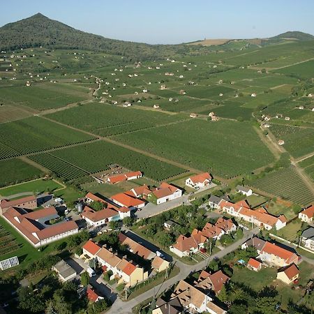 Tiffan'S Pinceszet Es Panzio Otel Villány Oda fotoğraf