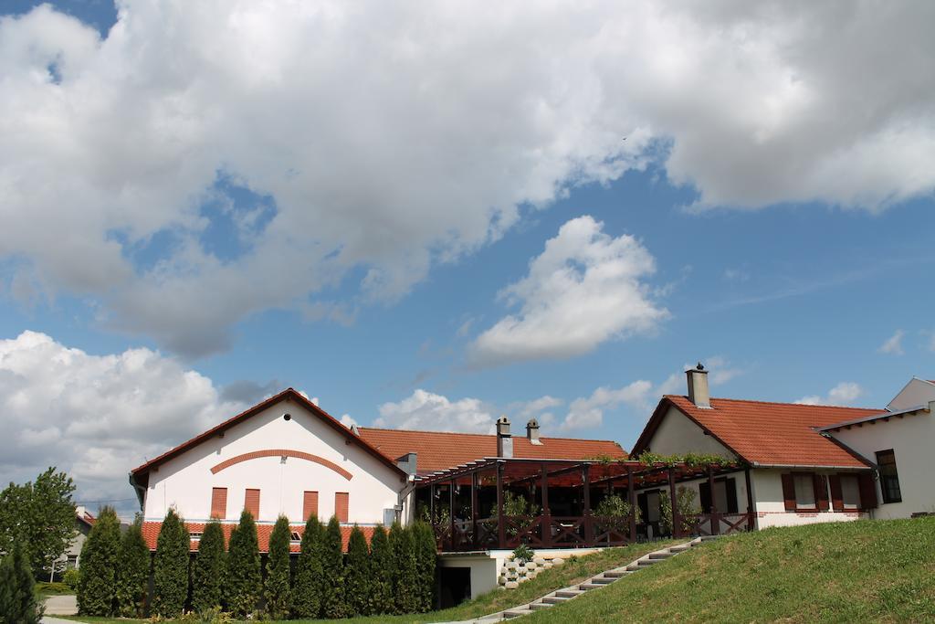 Tiffan'S Pinceszet Es Panzio Otel Villány Dış mekan fotoğraf
