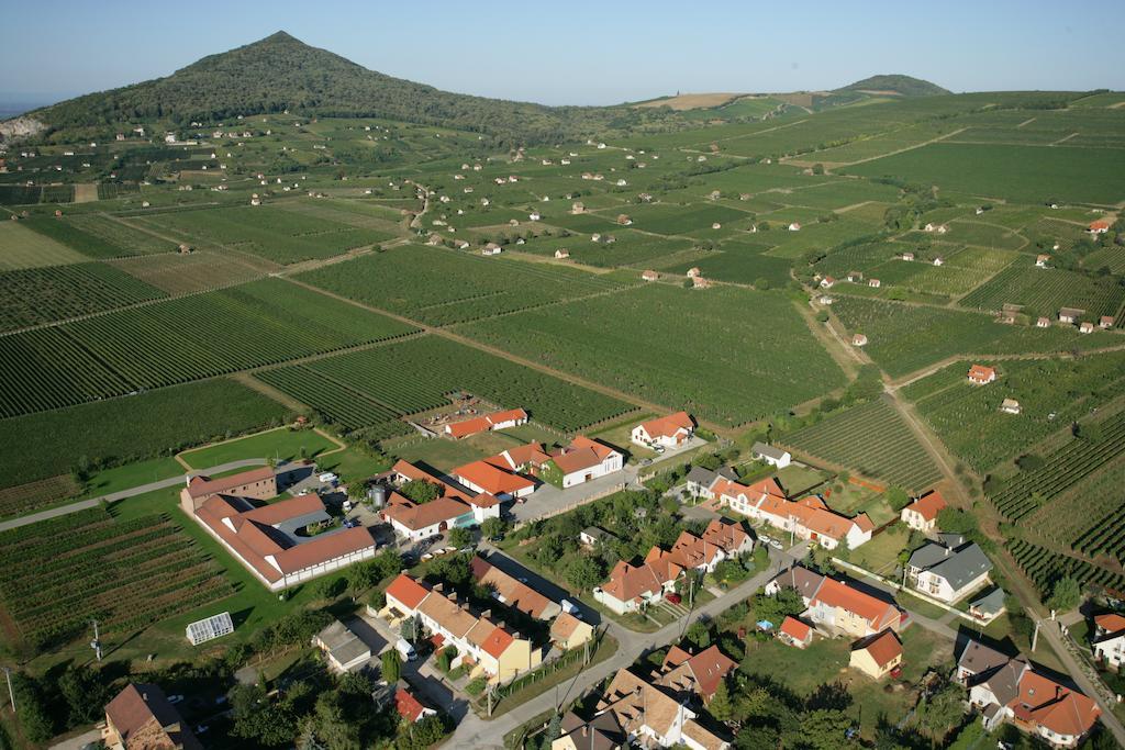 Tiffan'S Pinceszet Es Panzio Otel Villány Oda fotoğraf