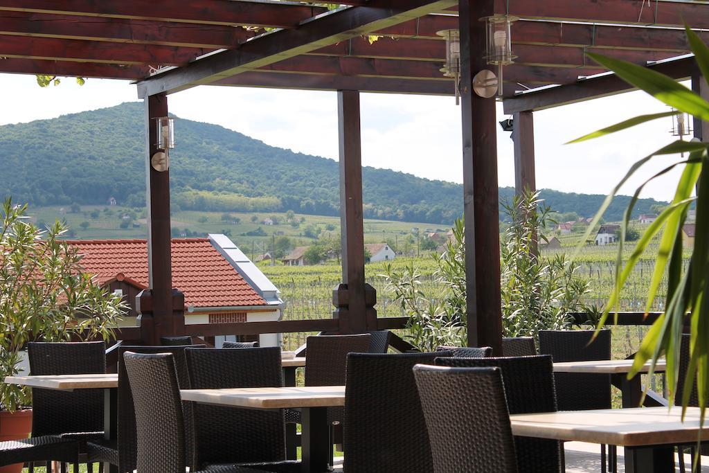 Tiffan'S Pinceszet Es Panzio Otel Villány Dış mekan fotoğraf