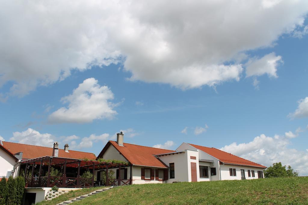 Tiffan'S Pinceszet Es Panzio Otel Villány Dış mekan fotoğraf